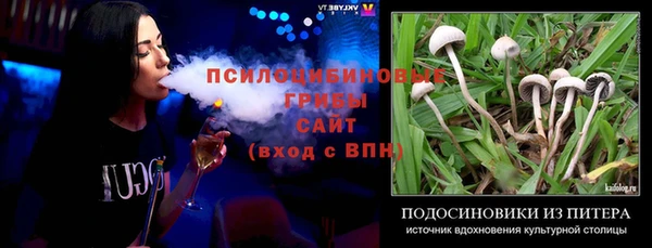 молекула духа Дмитров