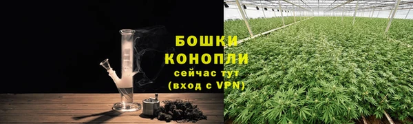 гидропоника Дмитриев