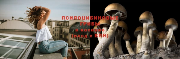 гидропоника Дмитриев