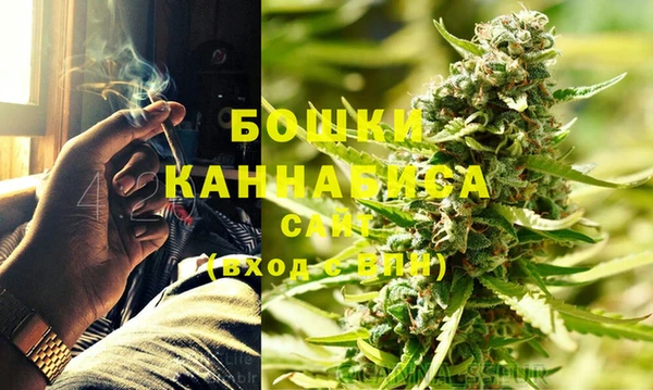 гидропоника Дмитриев