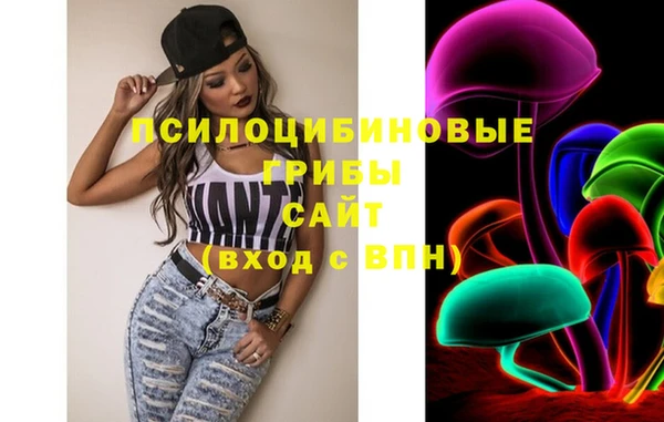 молекула духа Дмитров