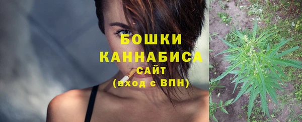 молекула духа Дмитров